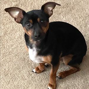 Meet your Posher, Megan